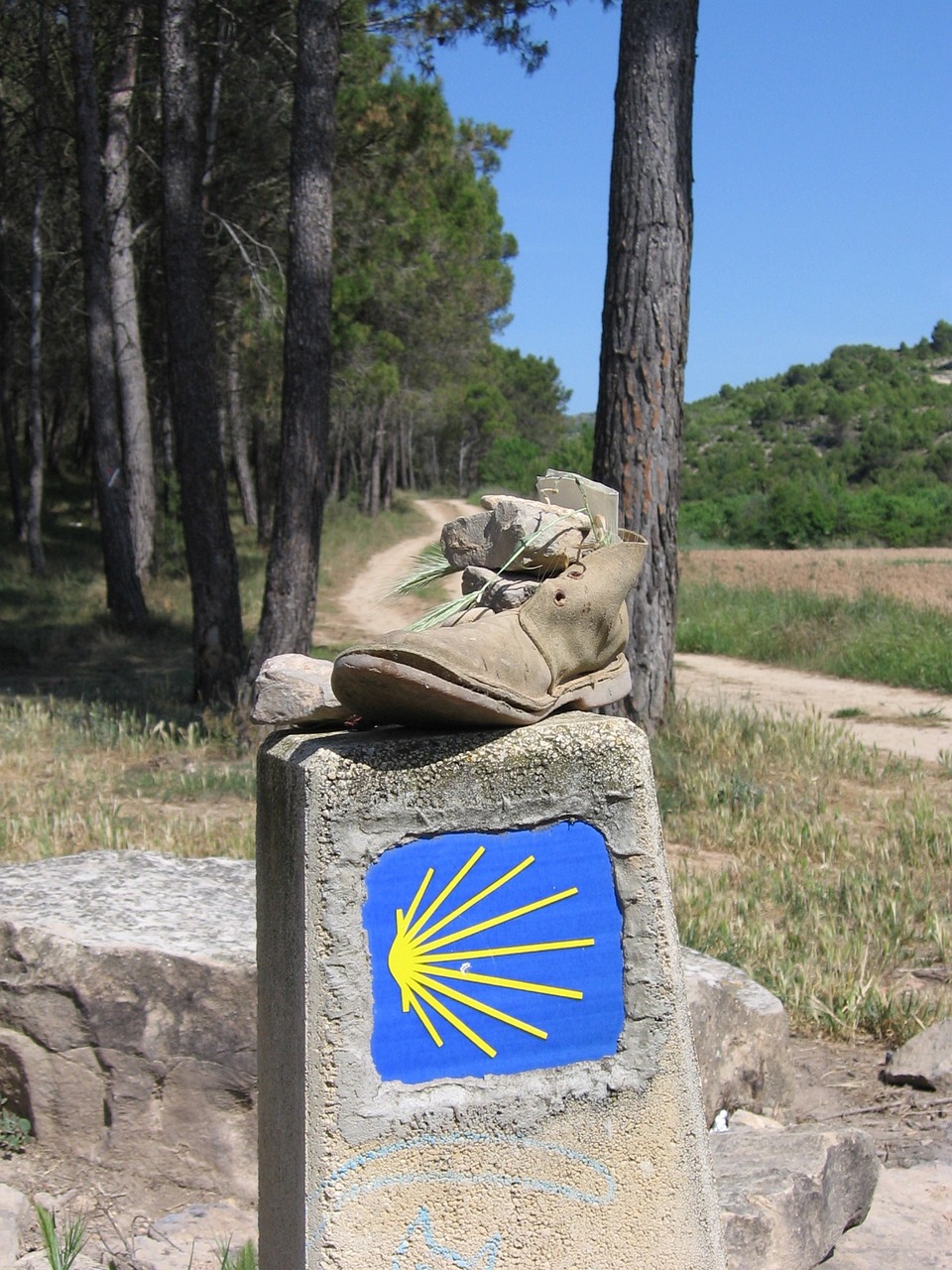 长子县最新贴吧探索与发现之旅