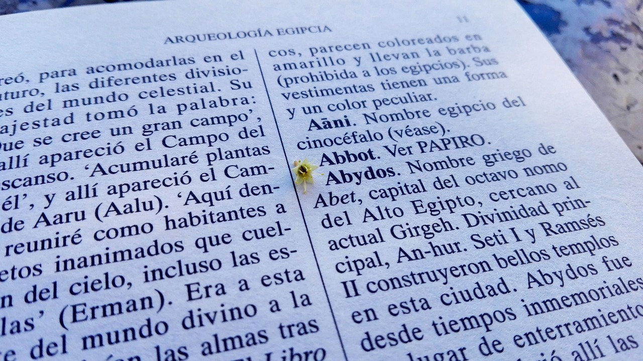 最新词汇夸人,赞美之辞的魅力与深度探索