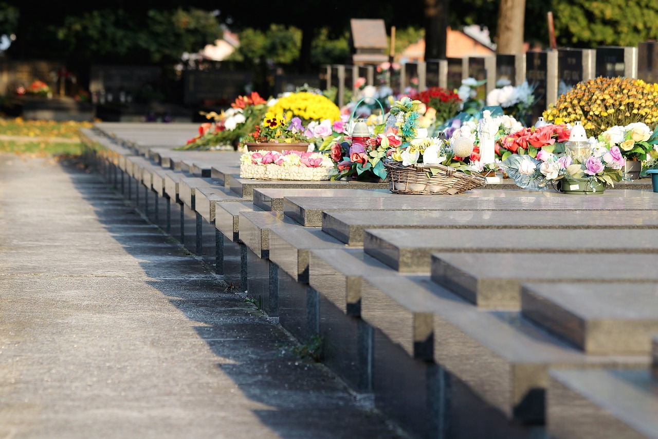 故人的歌 第27页