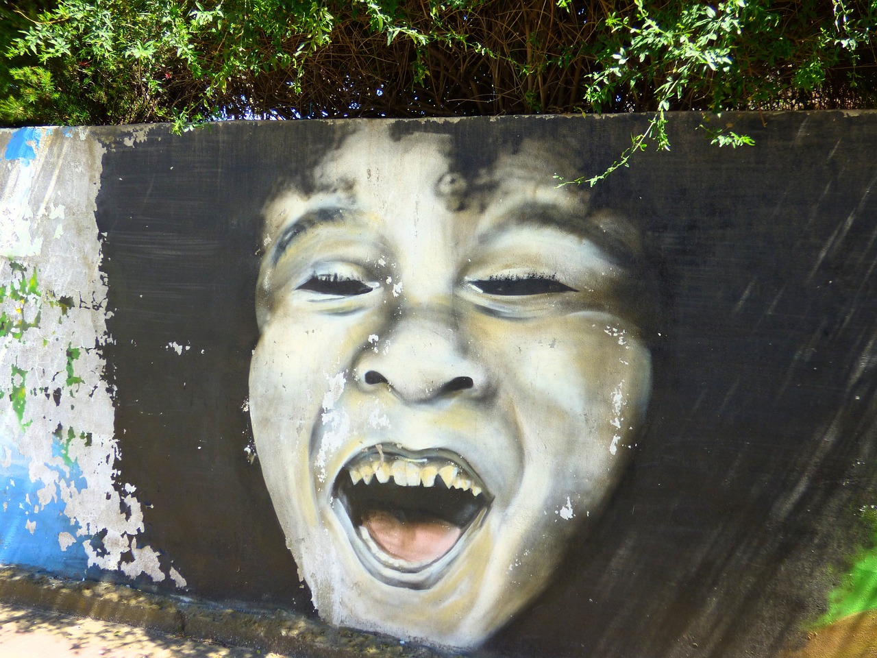 问政山东潍坊市最新动态观察