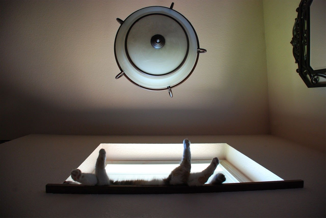 香港十月十一日最新疫情动态分析聚焦概况