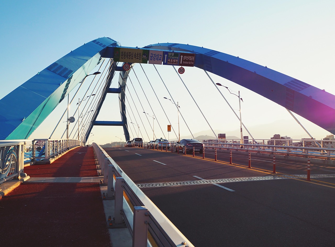 云南本土确诊病例最新动态解析及应对策略全面解读