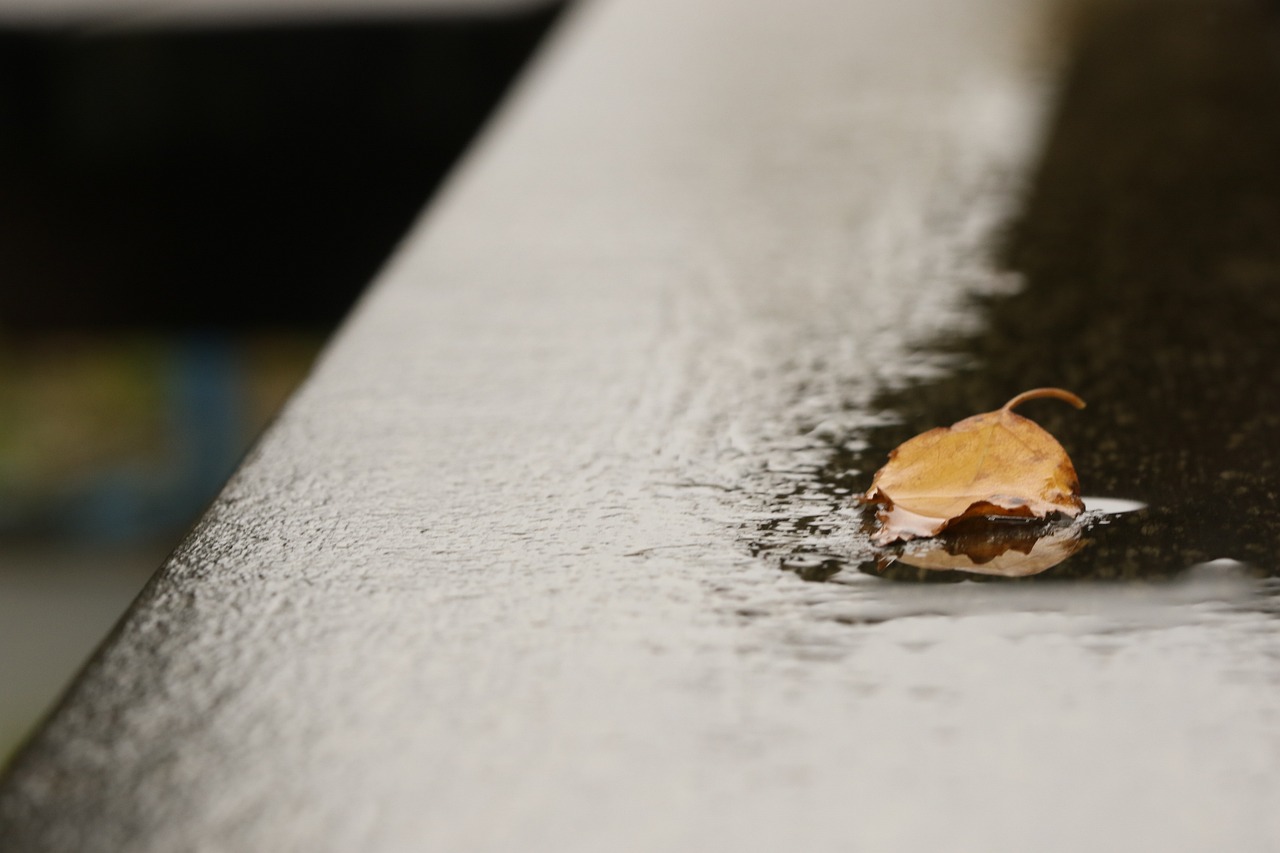 米字型高铁最新动态，推动区域一体化交通网络建设