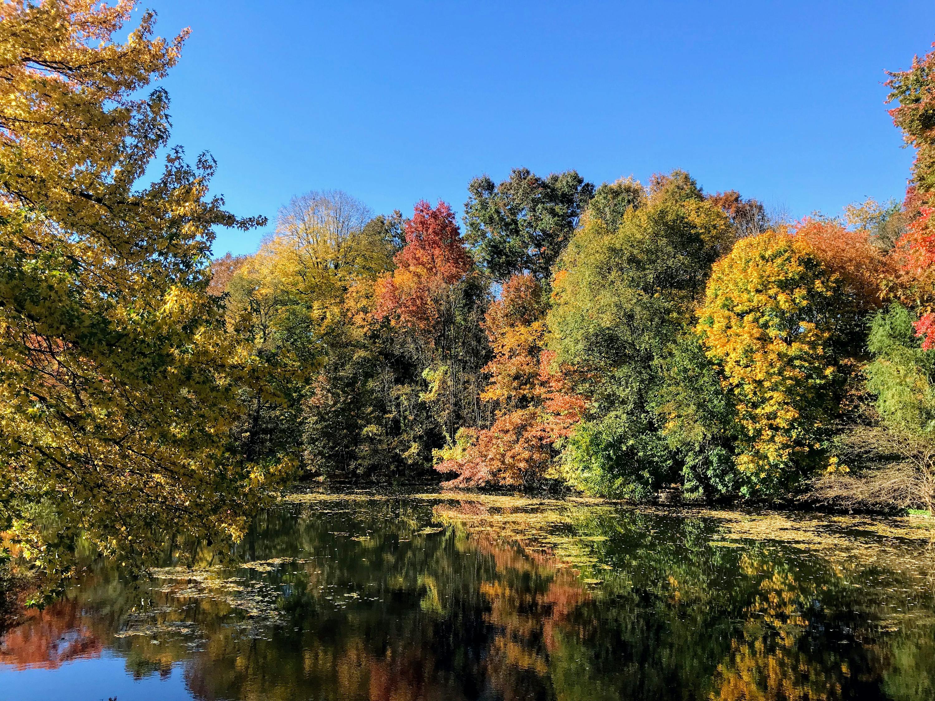 洲尾围生态公园最新进展及前景展望