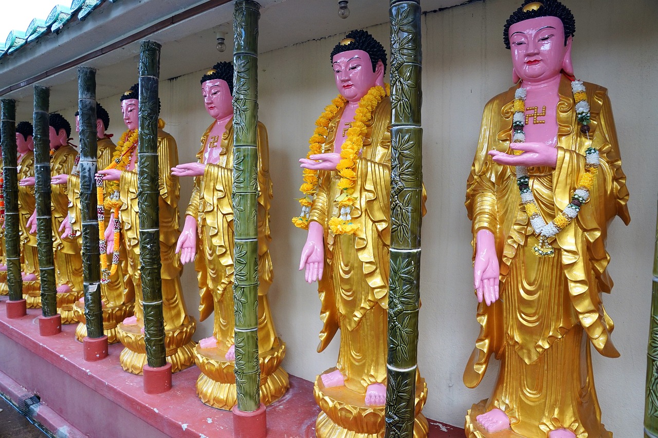 近期最新古装剧，历史与艺术的完美融合之旅