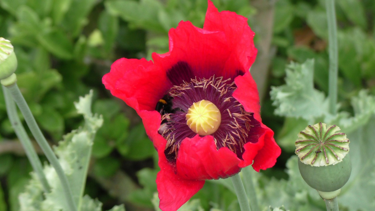 美司法部最新动态解析，深入了解美国司法部最新信息