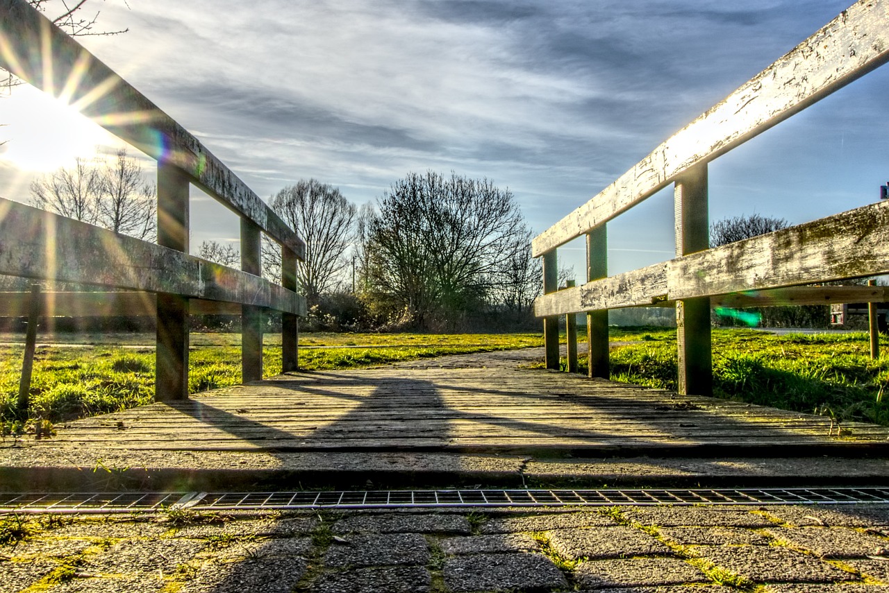 李泳最新动态，潮流引领者的璀璨之星消息更新