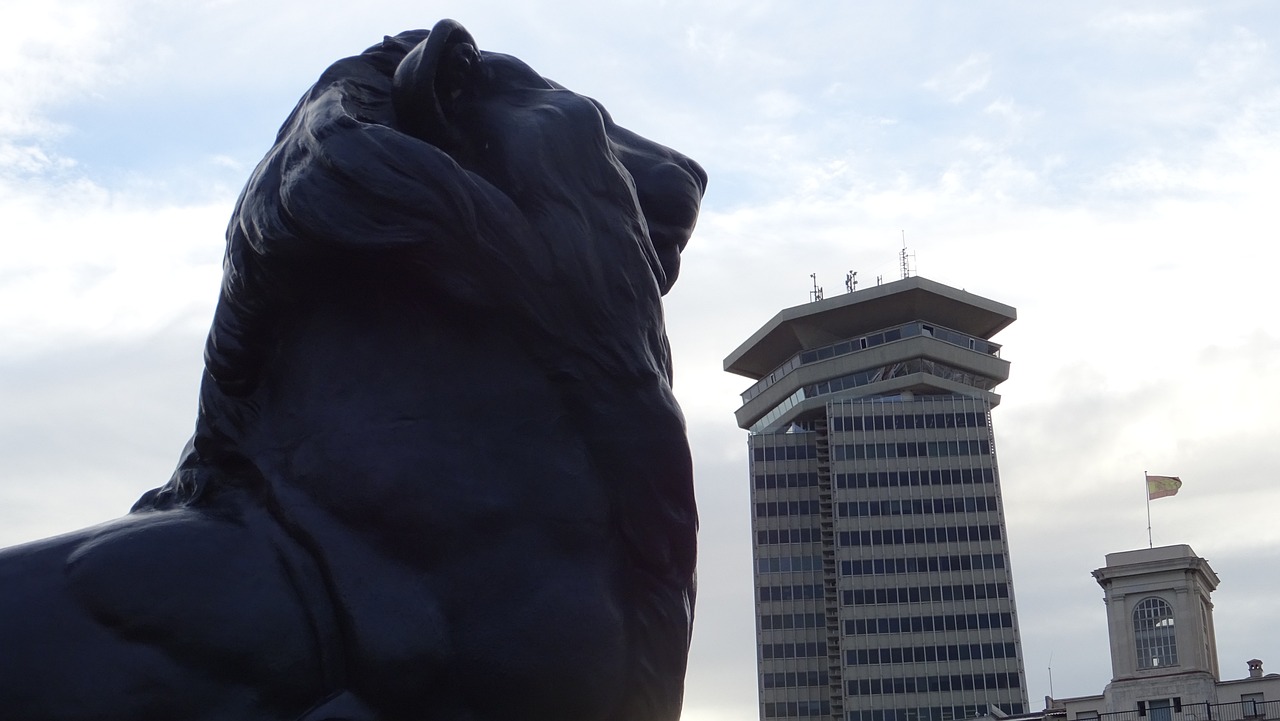 余杭最新动态,城市蓬勃发展新篇章开启