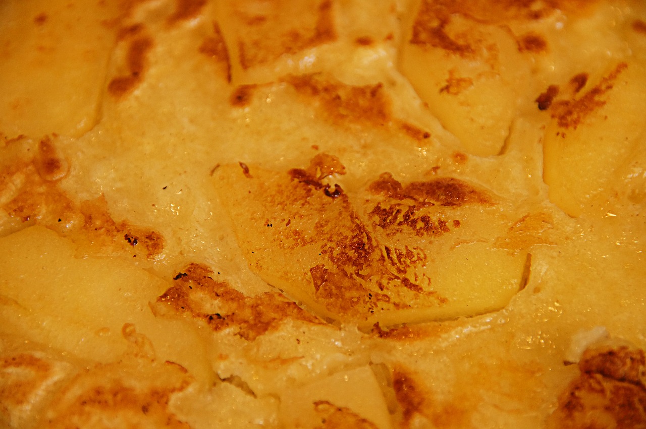 四川省最新发展动态及前景展望