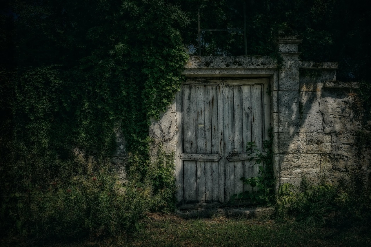 妖怪屋最新揭秘,神秘之门的一角开启