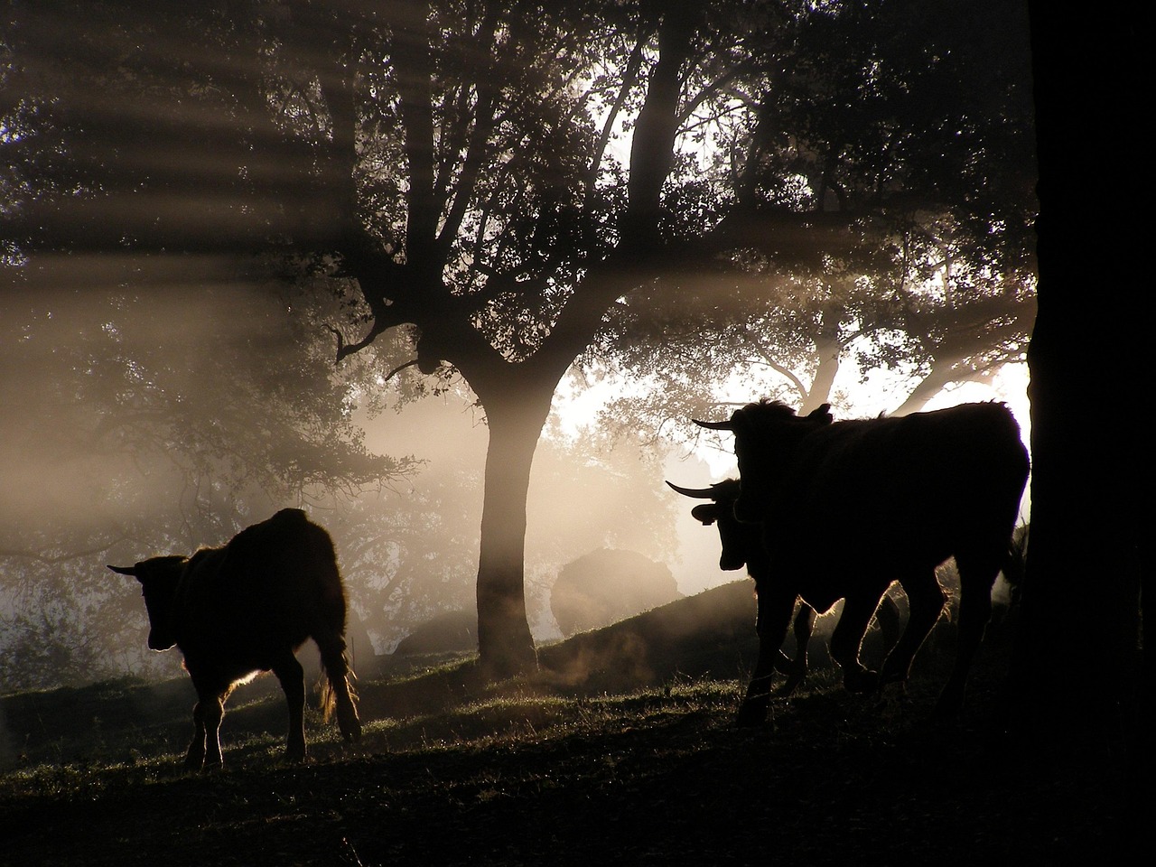 马海最新消息揭秘，探索前沿动态与发展趋势