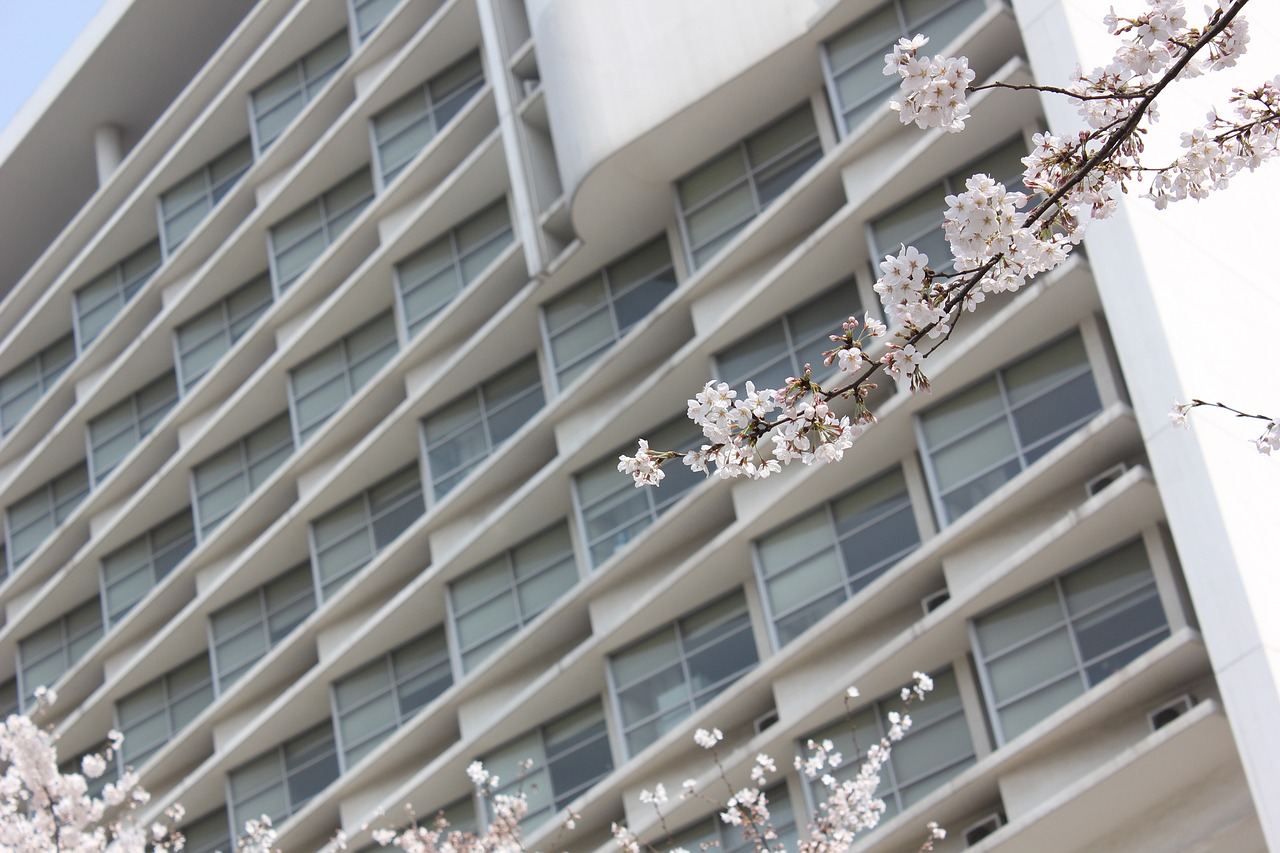 深圳大学最新录取情况深度解析报告