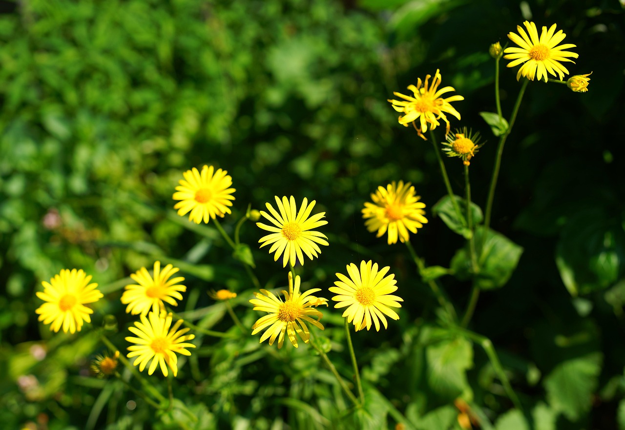 花朵之蓝 第25页