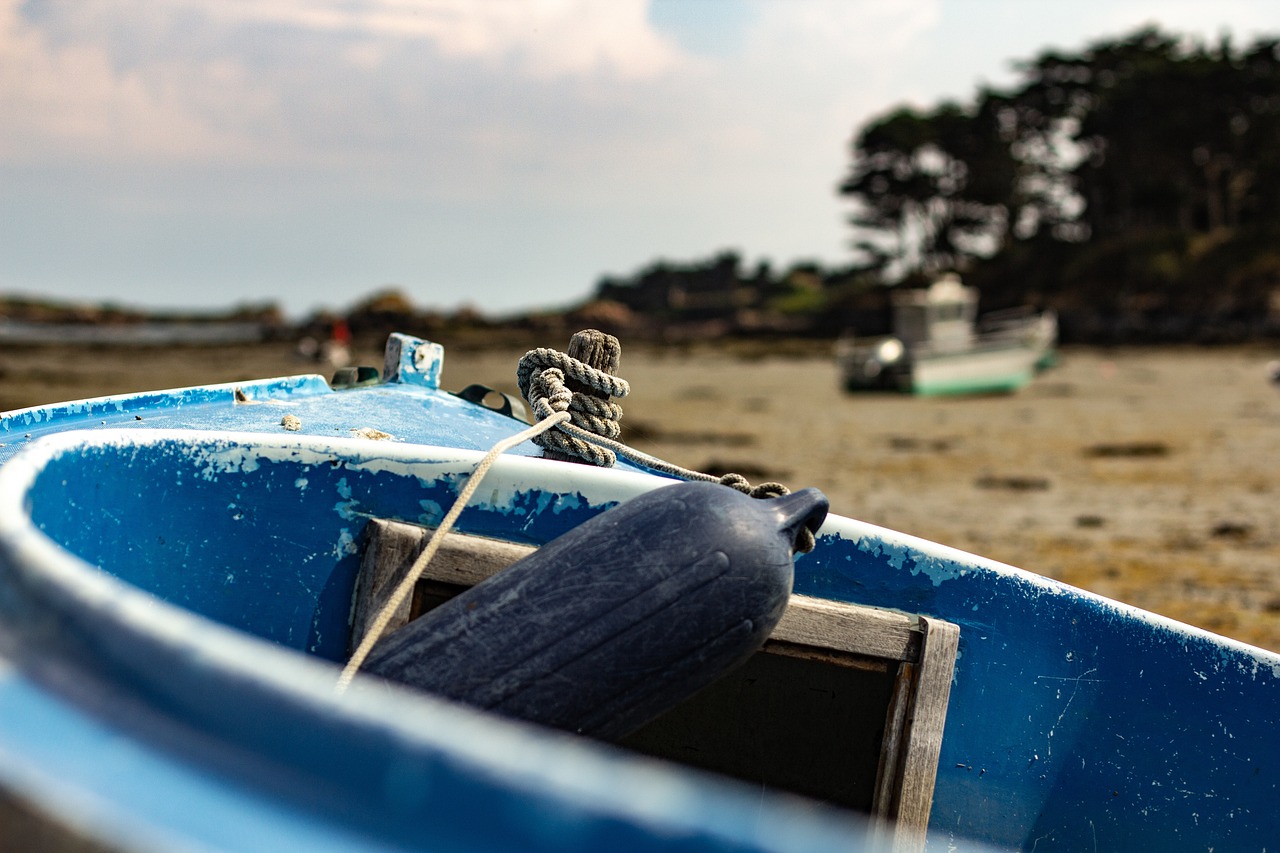 青岛防疫最新动态,坚决打赢疫情防控阻击战