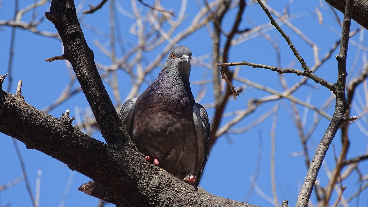 烟台新增确诊病例动态分析与最新动态更新