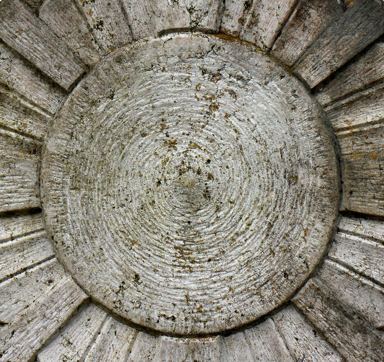 小S综艺节目最新动态，展现多元魅力，引领潮流趋势