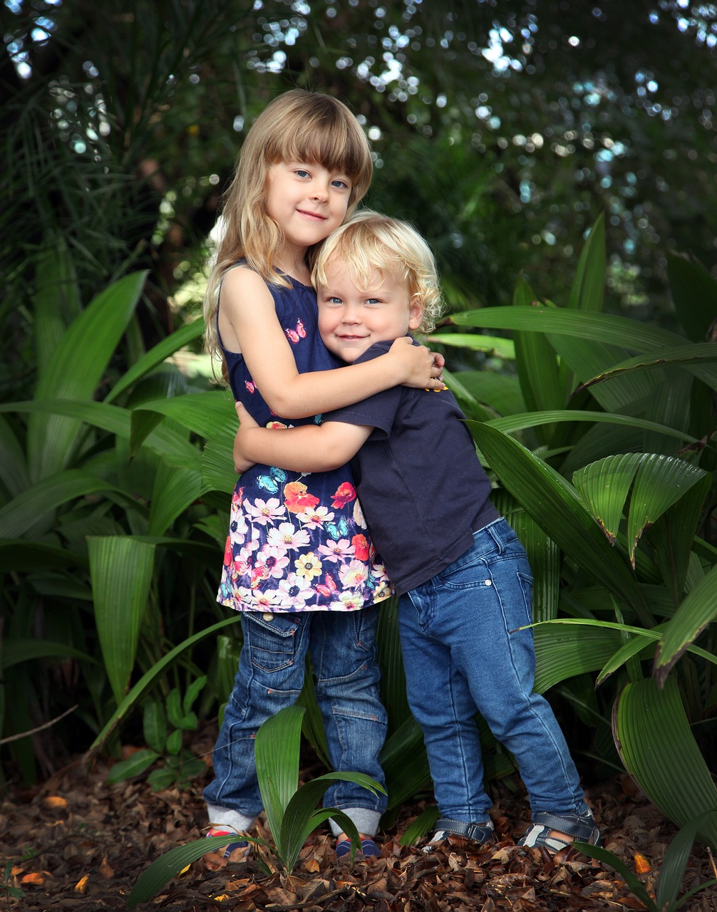 最新姐弟甜宠网剧，情感交织的奇妙世界探索