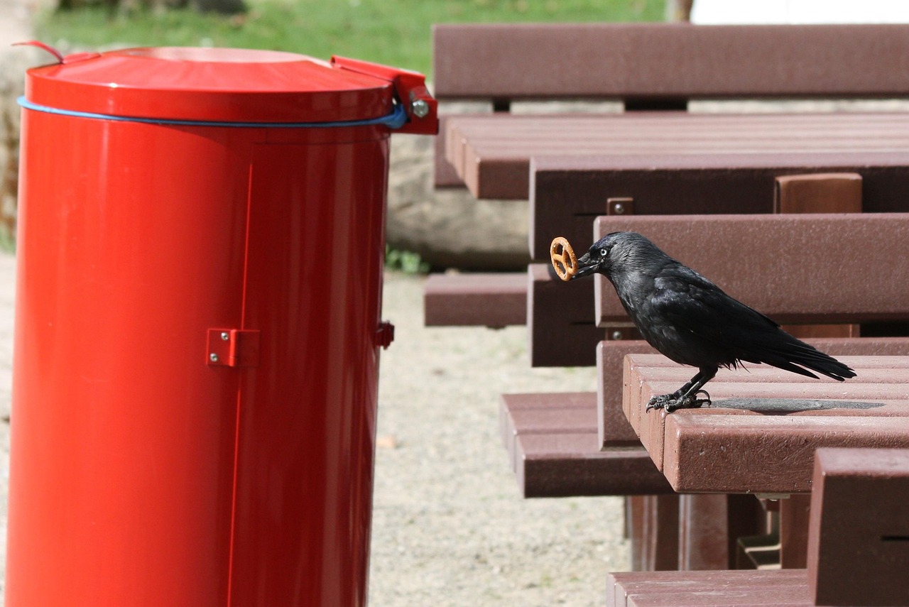 汕尾市肺炎疫情最新动态分析与确诊案例更新