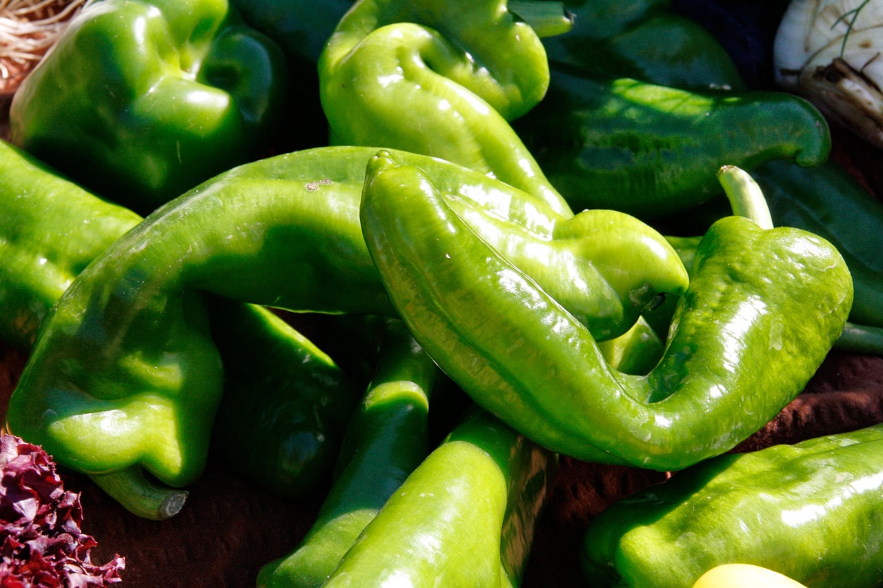 番石榴种植新动向，探索营养与市场趋势的最新消息