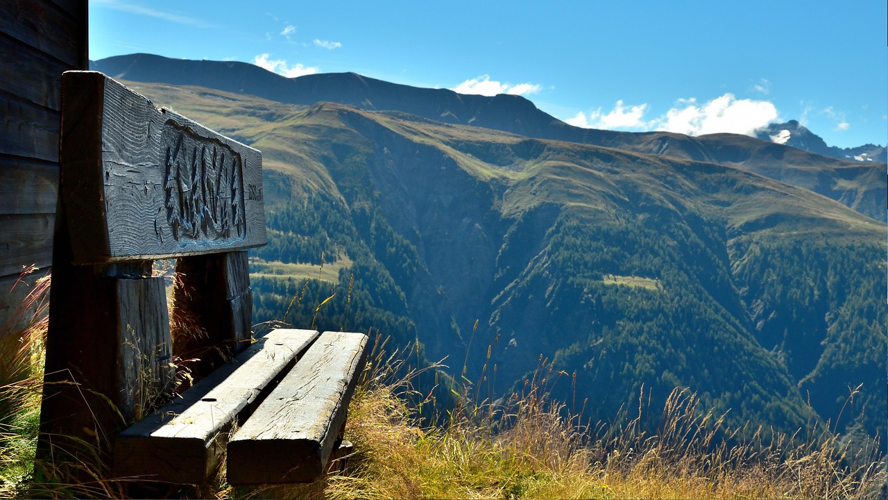 李小璐最新动态，星路历程回顾与未来展望