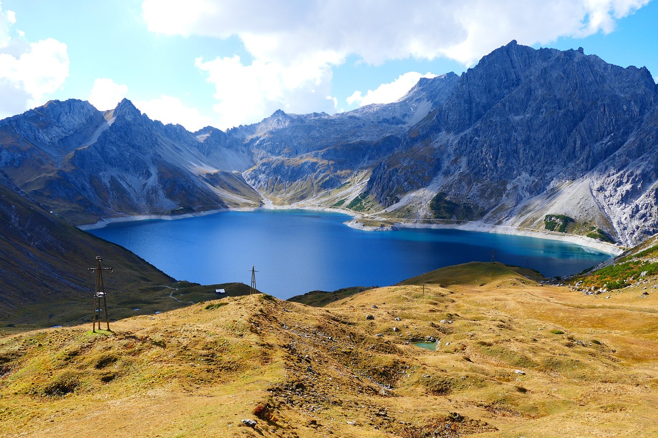 李小璐最新动态,星路历程回顾与未来展望