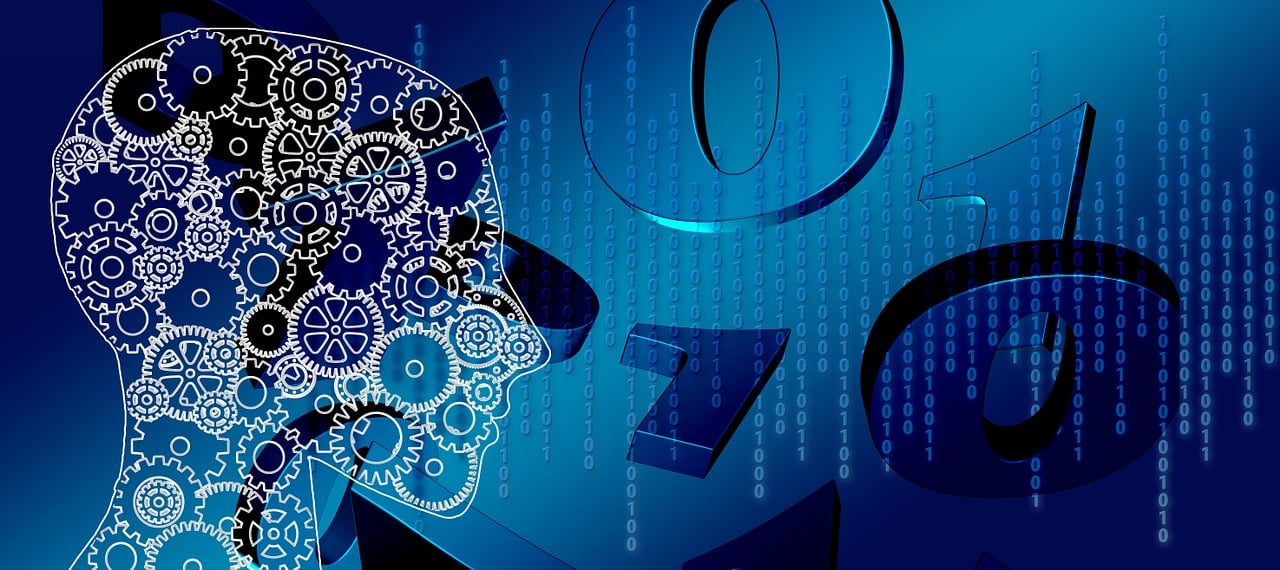 探索未来数字生活空间，5XS最新社区概览