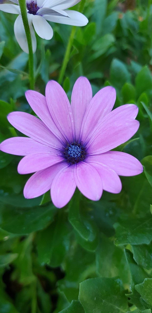 珠海最新疫情动态更新，最新疫情消息汇总