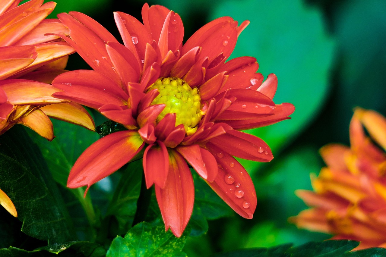 永定河绿色港湾重塑自然生态，共筑未来绿色梦想动态更新