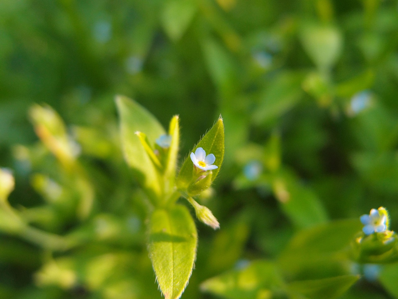 伦特最新动态,引领变革,塑造未来