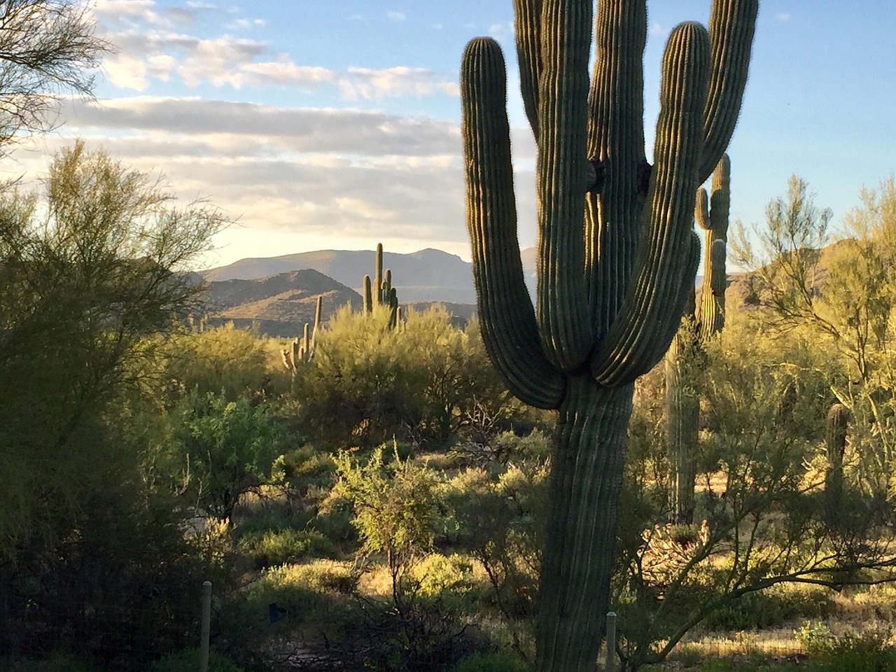 哈尔滨今日最新动态与发展展望