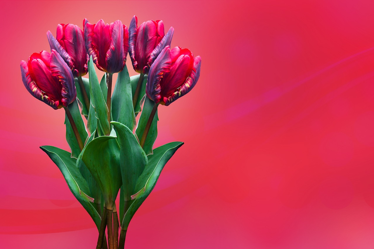 早上好最新问候图片，开启美好一天的第一缕阳光