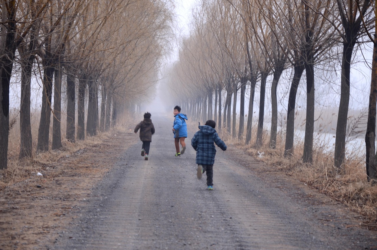 盲盒泡泡玛特最新趋势,探讨其魅力与动态发展