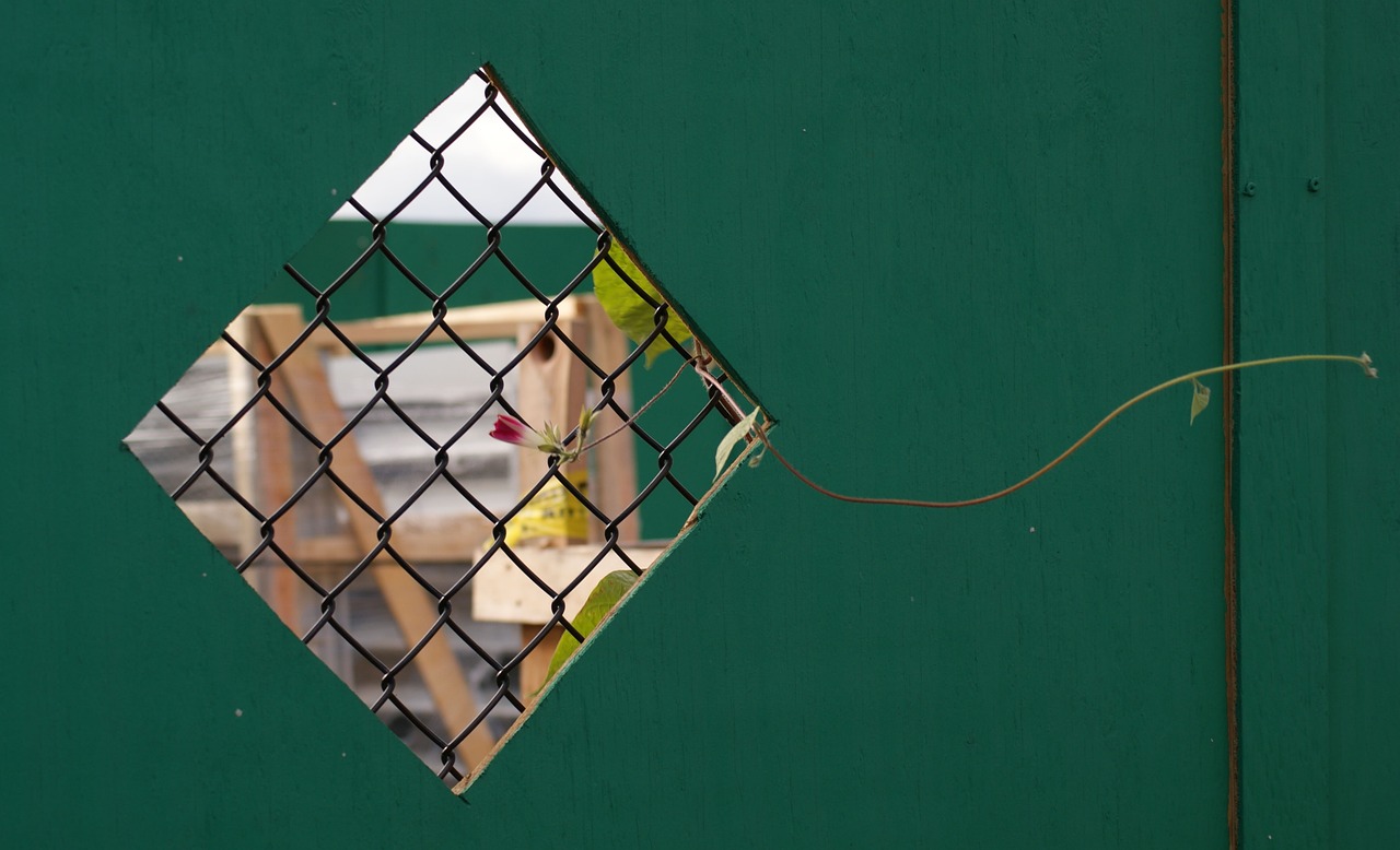 成都工地人最新动态,建设背后的故事与进展揭秘