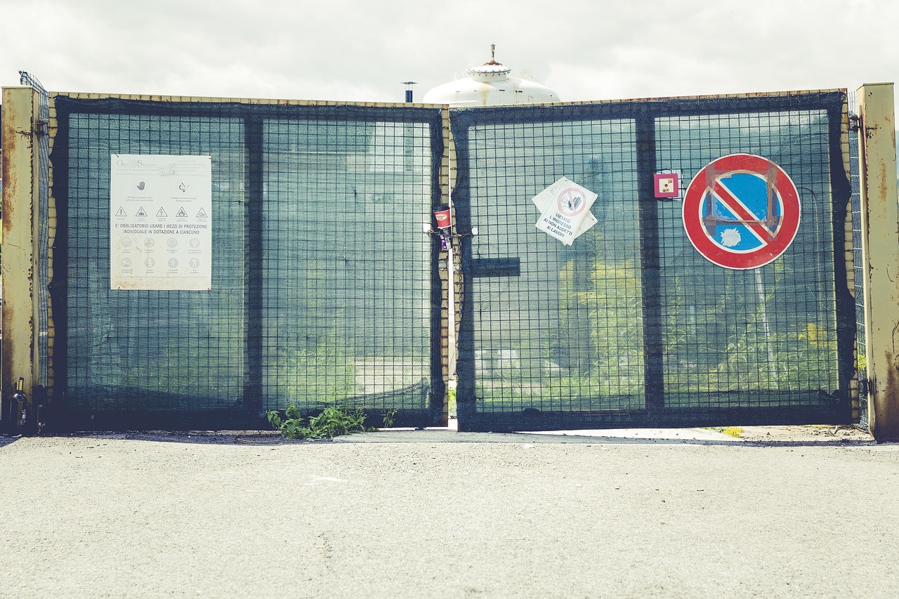 新型病毒最新动态,新增病例分析与病毒消息更新