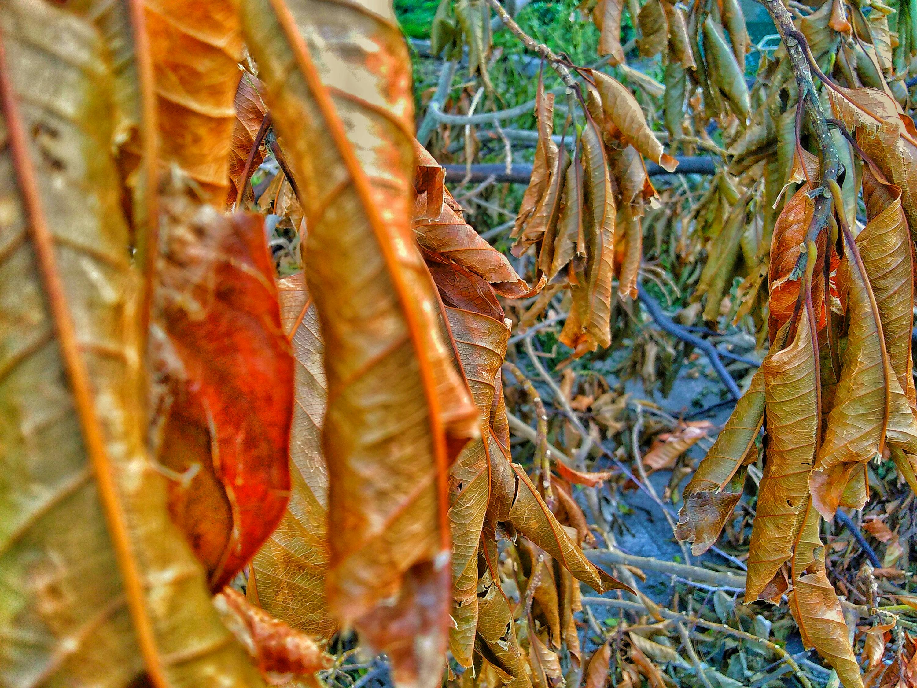 广西台风最新天气预报，动态、应对建议全解析