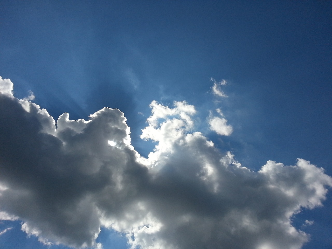 公交司机行业最新动态更新