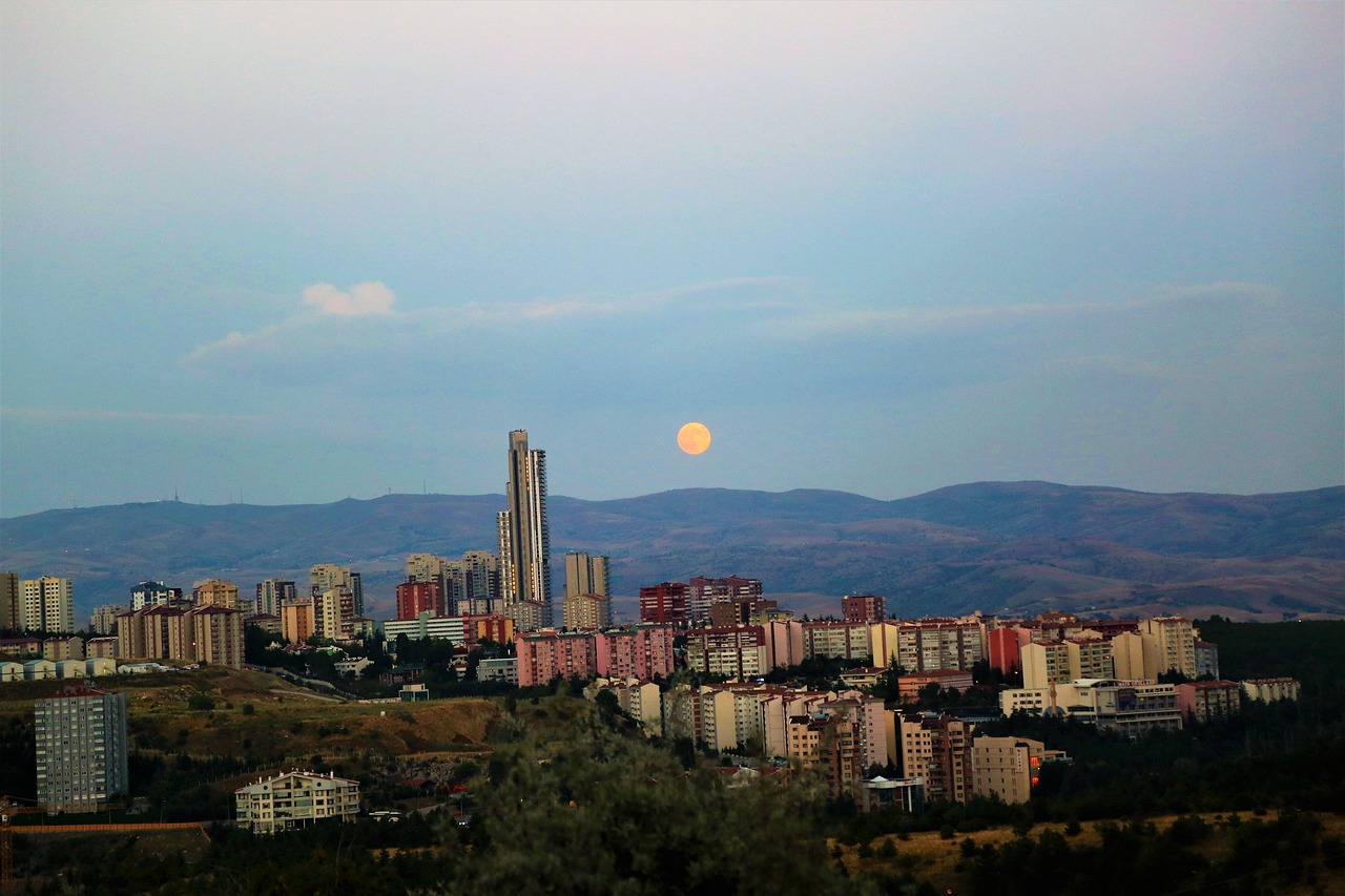 花朵之蓝 第21页