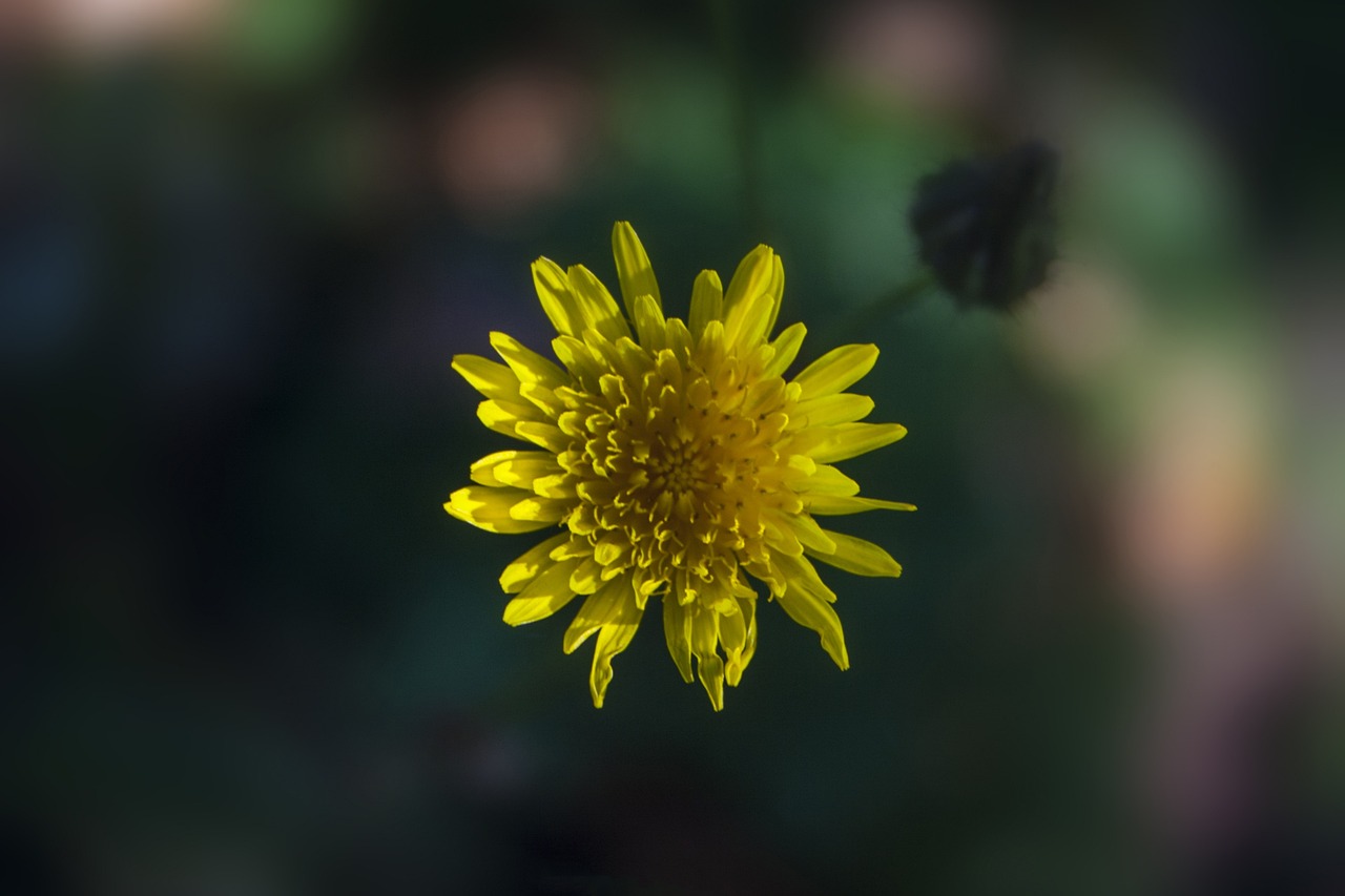 富力和园最新房价动态及趋势分析