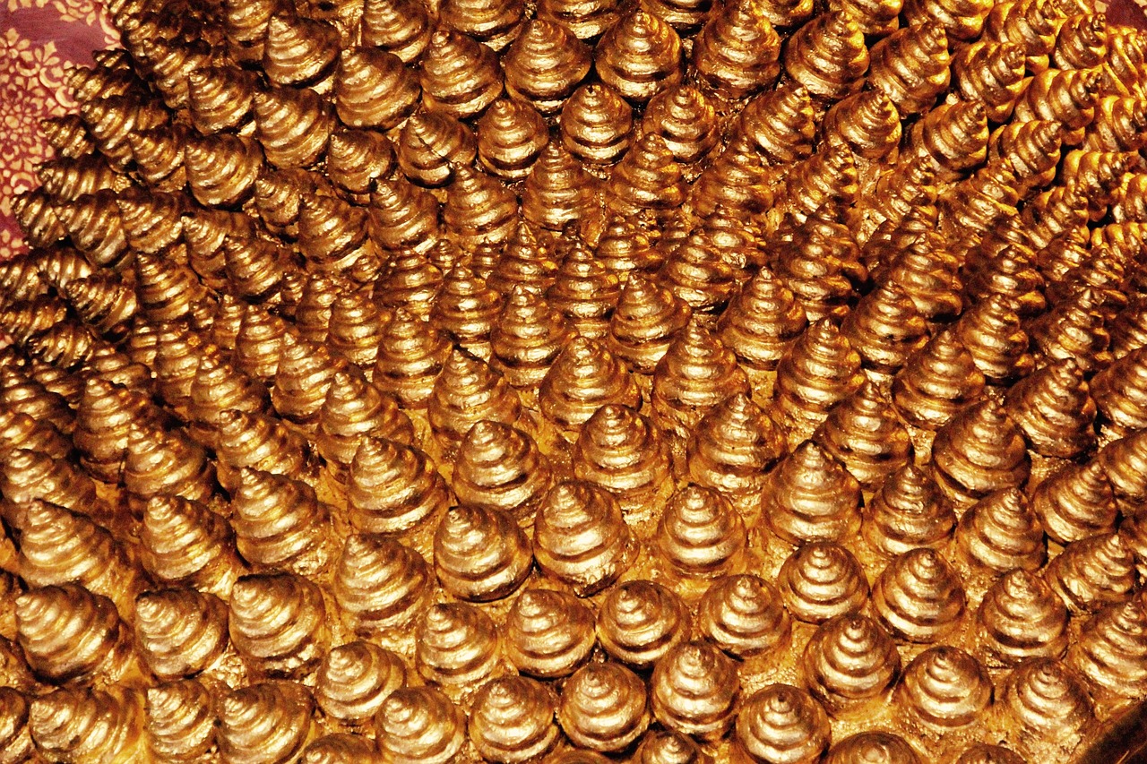 台风大庆最新消息更新,动态监测与应对策略