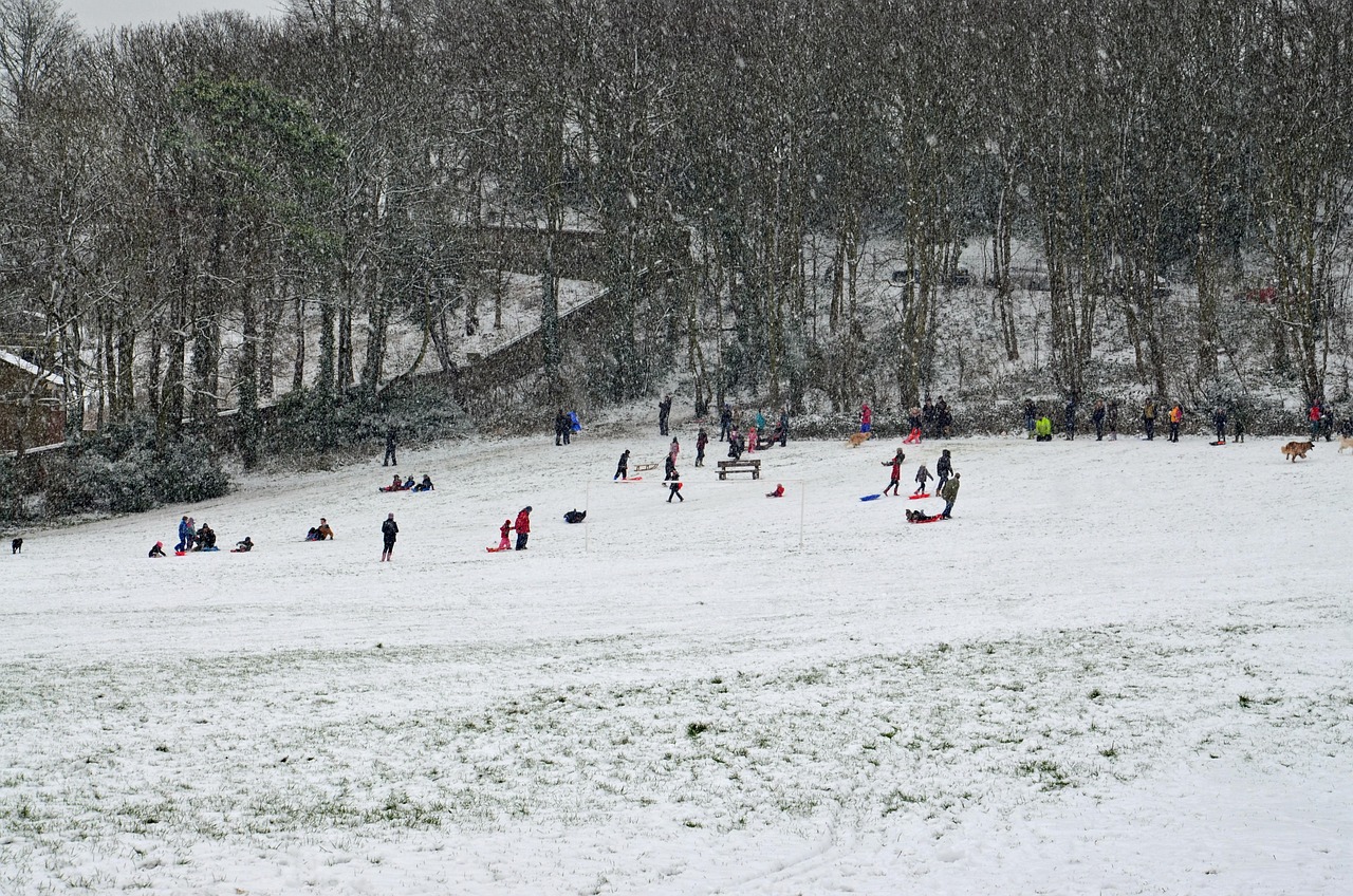 白京疫情最新全面解读，最新消息与动态分析
