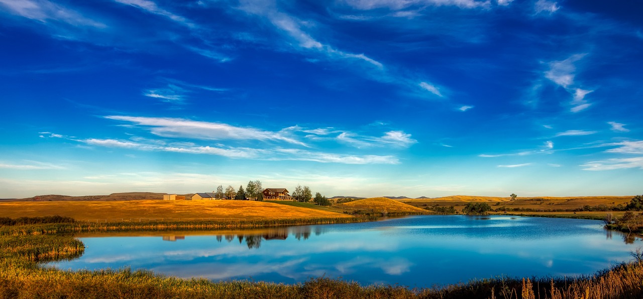 美国与沙特最新发展动态深度解析