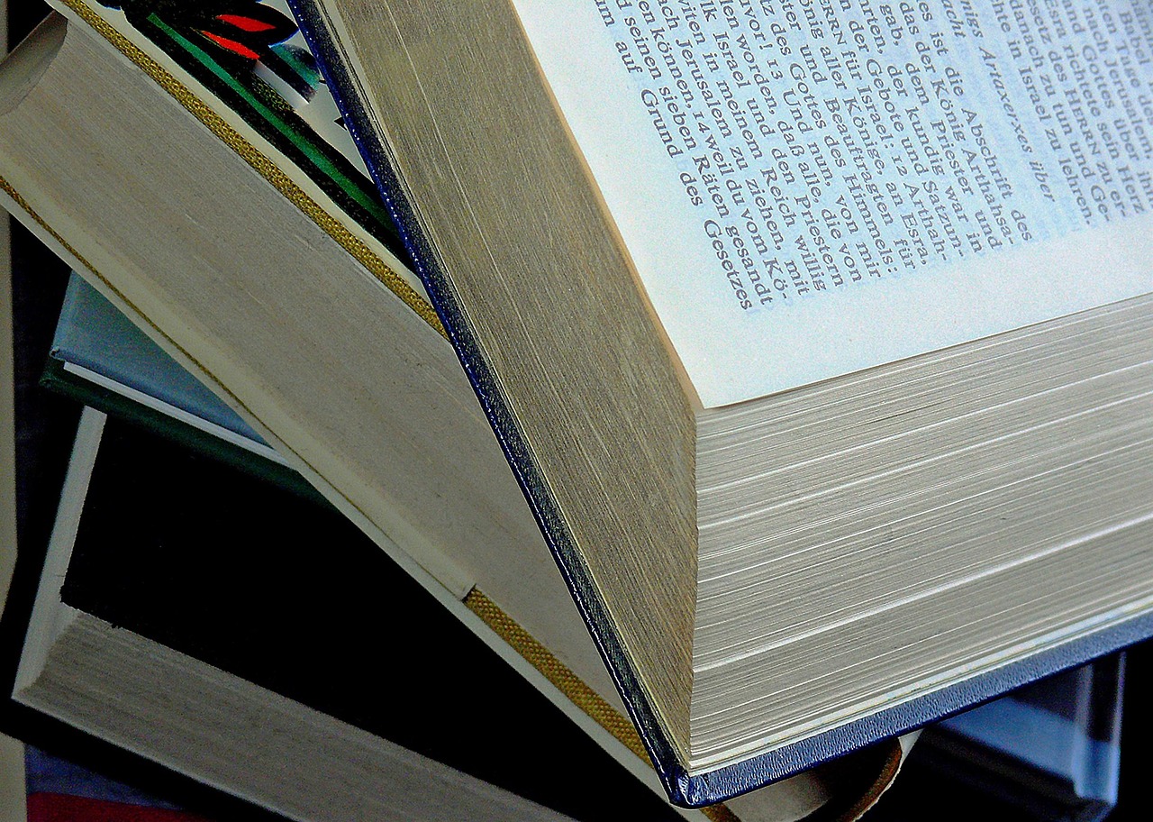 最新版高中历史教材深度解读与未来展望