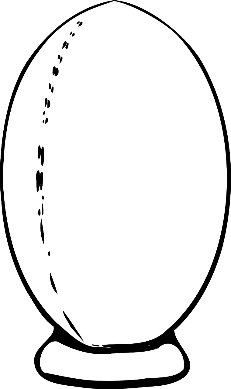 荷乙足球联赛实时更新，最新动态与战况汇总