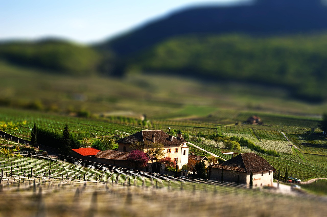 澳大利亚红酒制裁最新动态解析