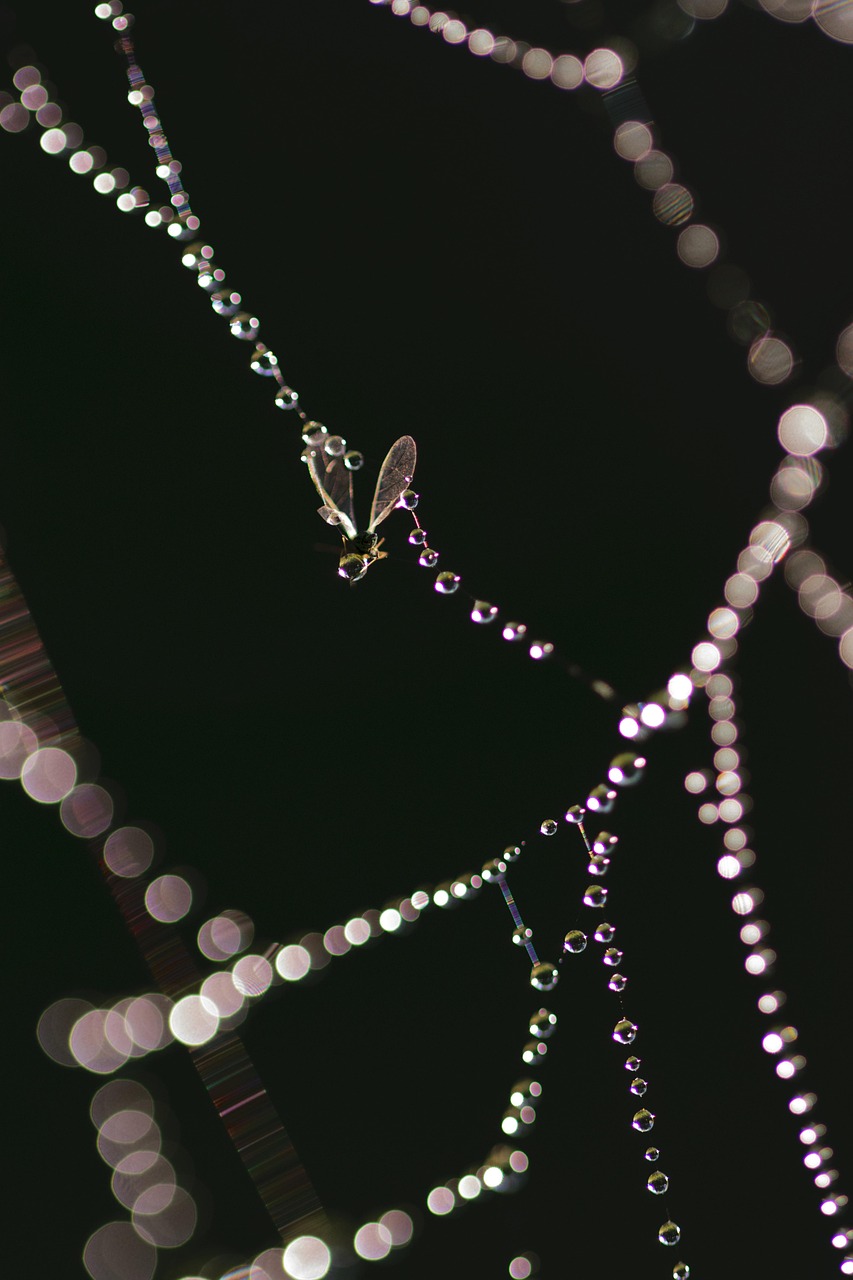 华强北手表最新顶配,科技与时尚的完美融合