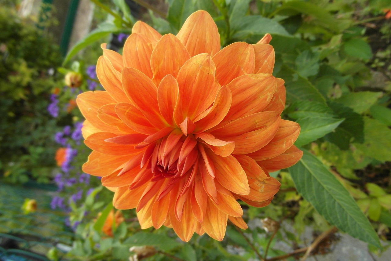 尹相杰与于文华，音乐界璀璨之星依旧闪耀的最新动态