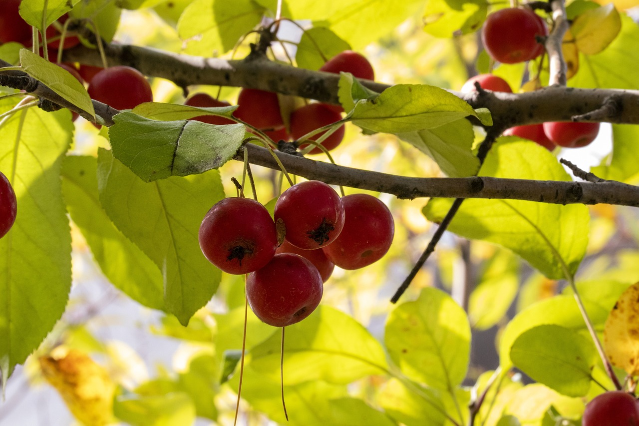 美国疫情医疗最新动态更新