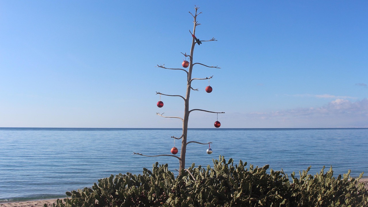 杨怀进最新动态，揭示未来无限潜能的揭秘之旅