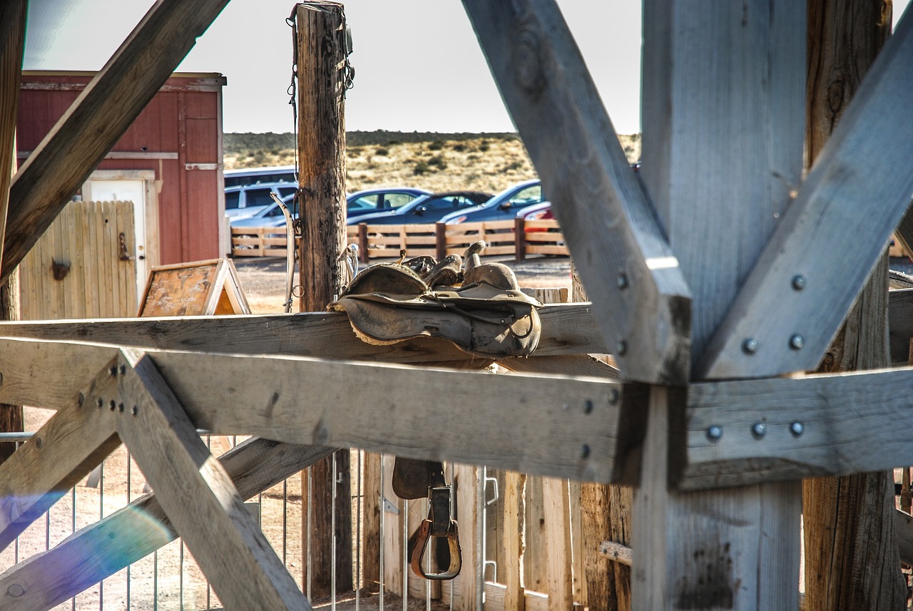 内华达州选情最新动态更新
