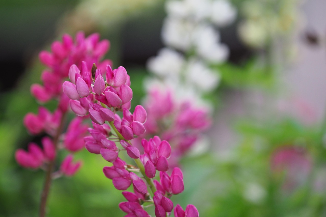 日本核污水最新动态,全球关注与应对策略